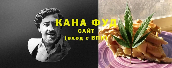 гашик Инта