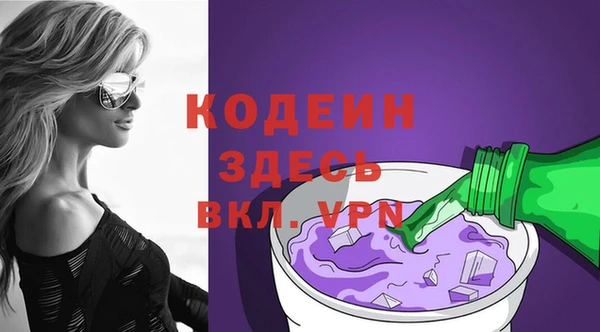 гашик Инта