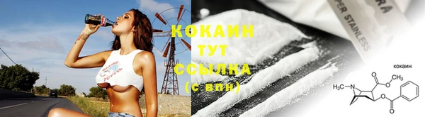 a pvp Каменногорск