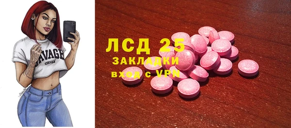 гашик Инта